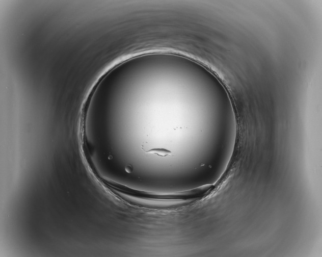 X0000094061526200710191052