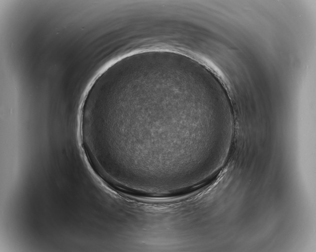 X0000094061528200710191052