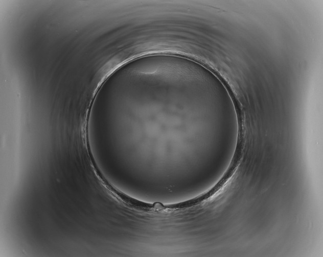 X0000094061529200710191052