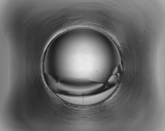 X0000094061530200710191052