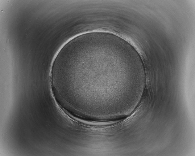 X0000094061532200710191052