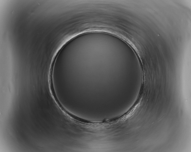X0000094061533200710191052