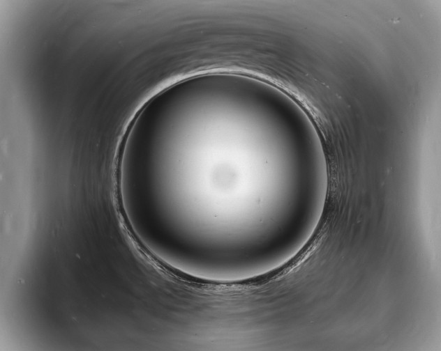 X0000094061534200710191052