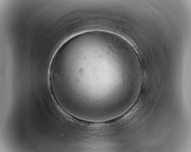 X0000094061535200710191052