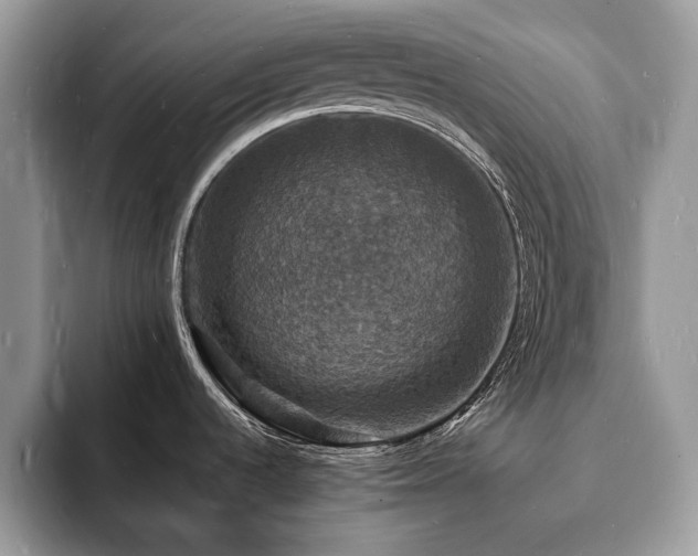 X0000094061536200710191052