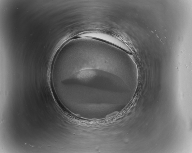 X0000094060003200710261235