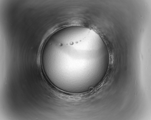 X0000094060004200710261235