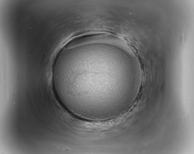 X0000094060005200710261235