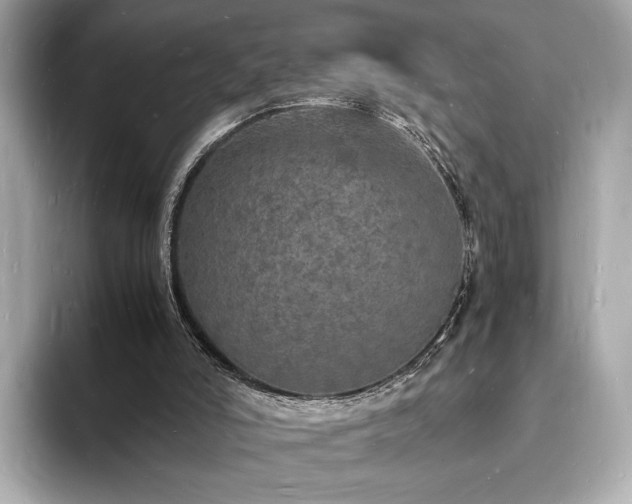 X0000094060006200710261235