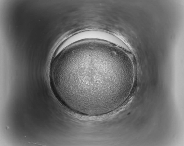 X0000094060007200710261235