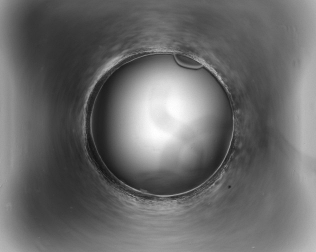 X0000094060008200710261235