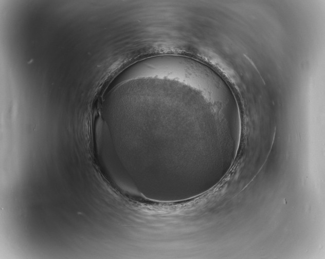 X0000094060009200710261235