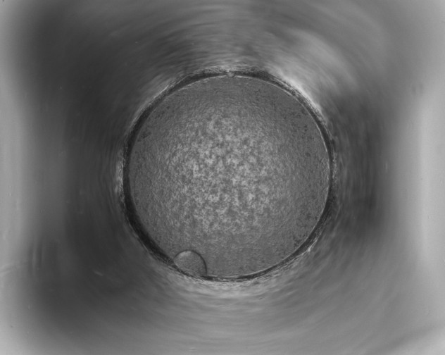 X0000094060010200710261235