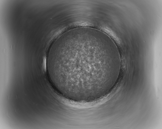 X0000094060014200710261235