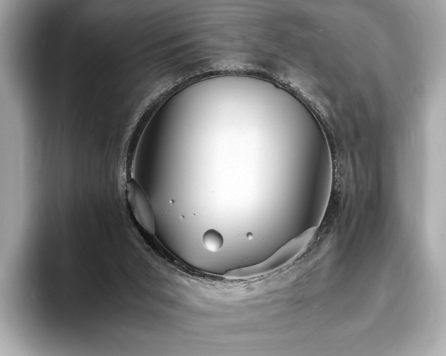 X0000094060015200710261235