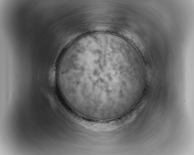 X0000094060016200710261235