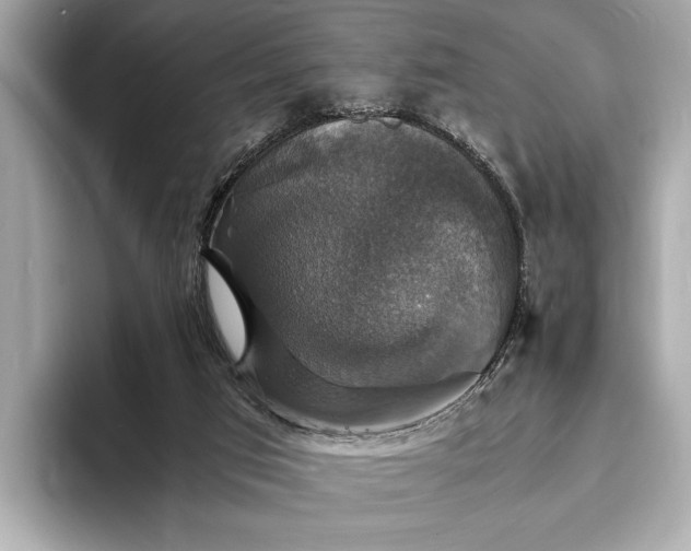 X0000094060017200710261235
