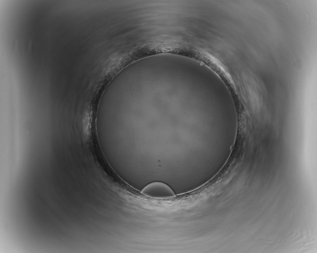 X0000094060018200710261235