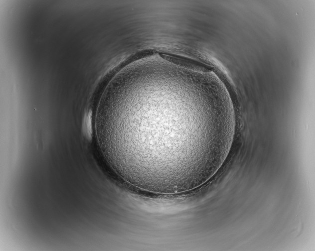 X0000094060020200710261235