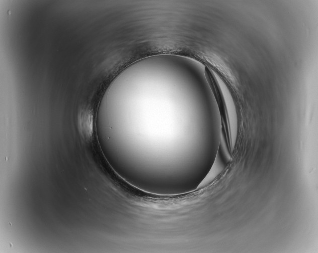 X0000094060021200710261235