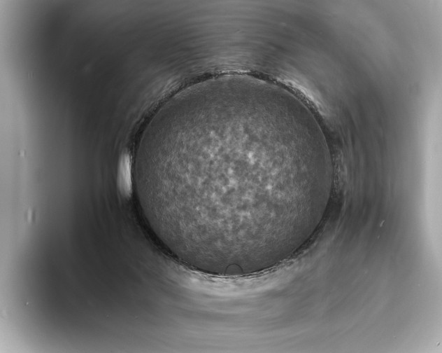 X0000094060022200710261235