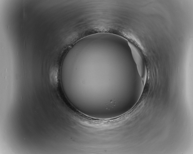 X0000094060023200710261235