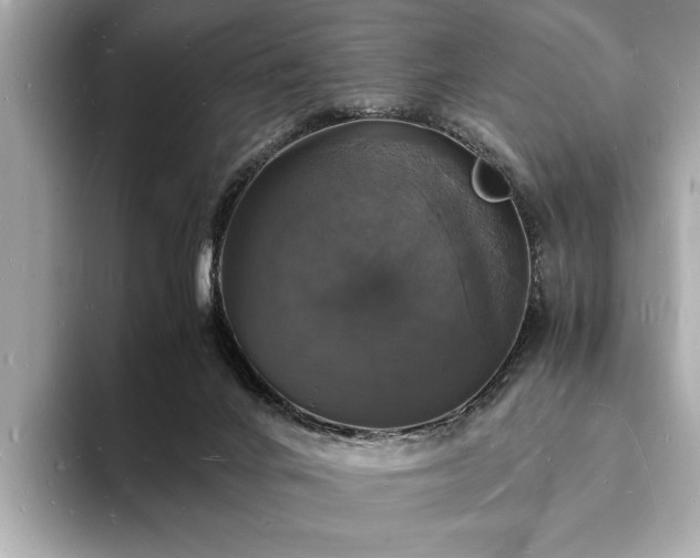 X0000094060024200710261235