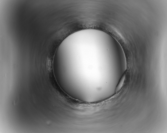 X0000094060025200710261235