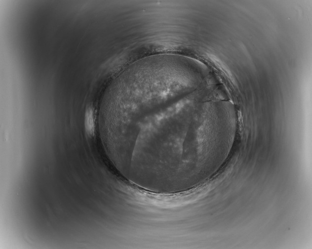 X0000094060026200710261235