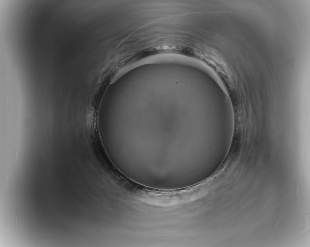 X0000094060029200710261235