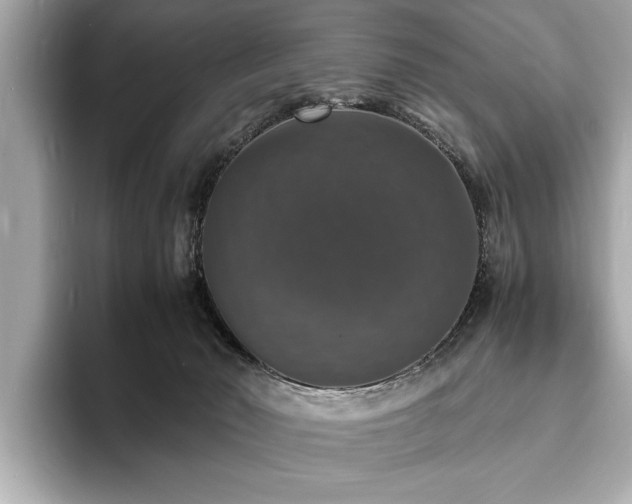 X0000094060030200710261235