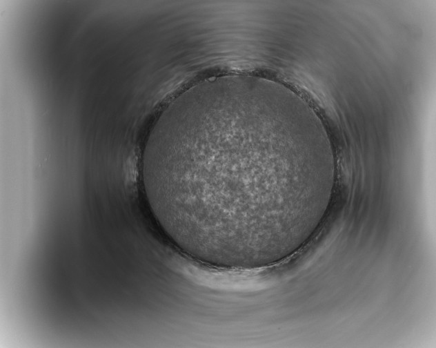 X0000094060032200710261235