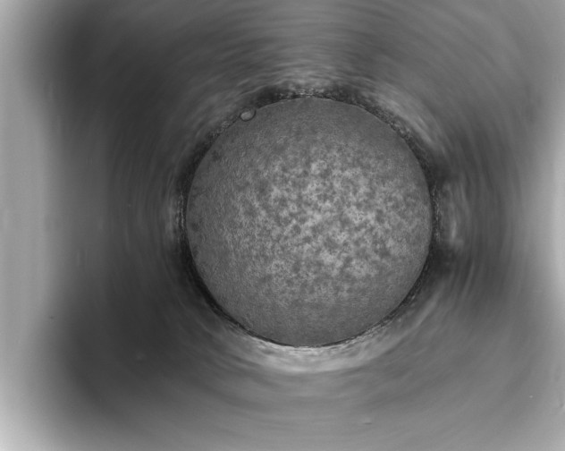 X0000094060034200710261235