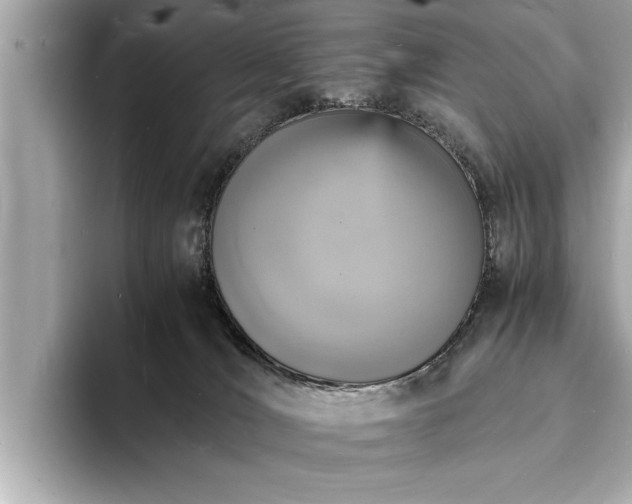 X0000094060036200710261235