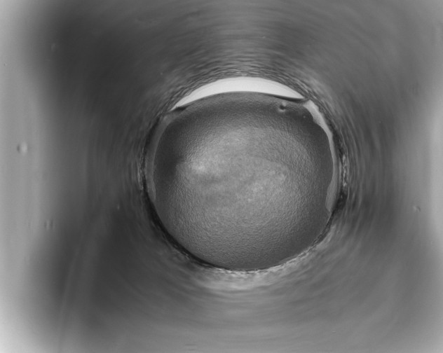 X0000094060037200710261235