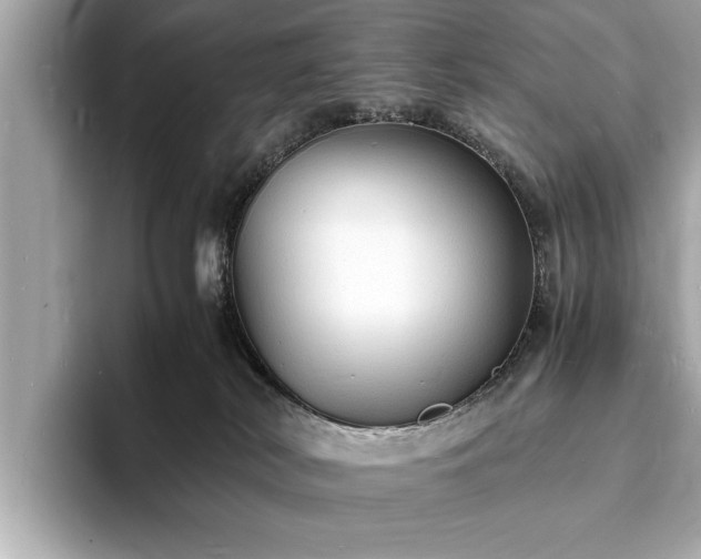 X0000094060038200710261235