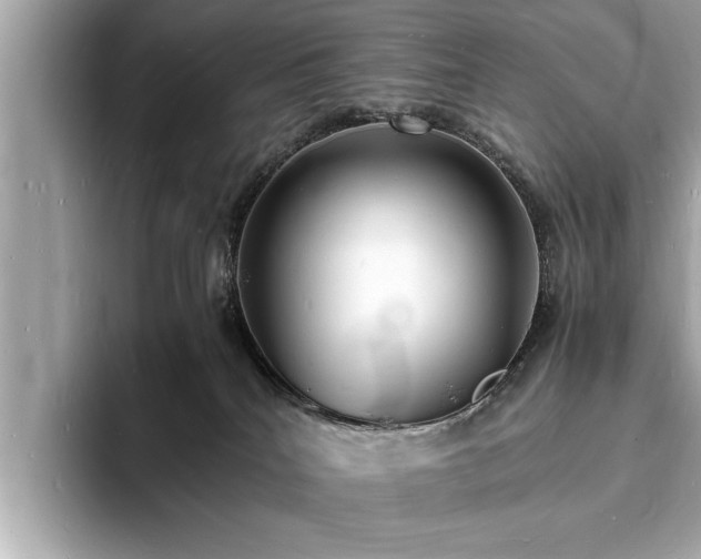 X0000094060040200710261235