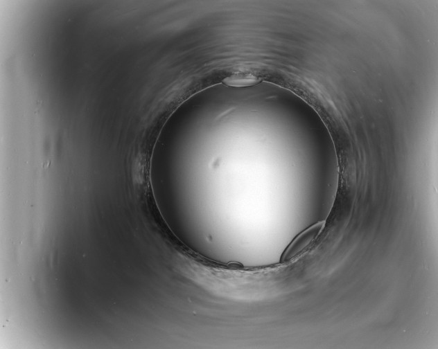 X0000094060044200710261235