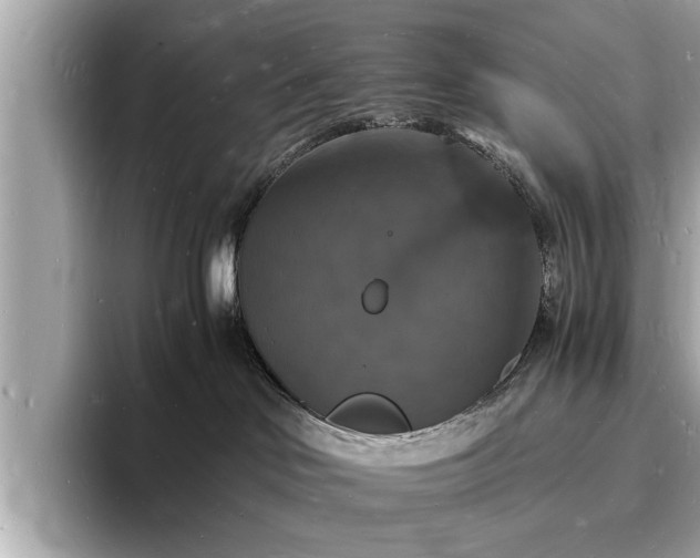 X0000094060046200710261235