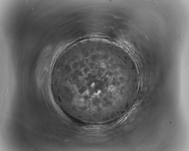 X0000094060049200710261234