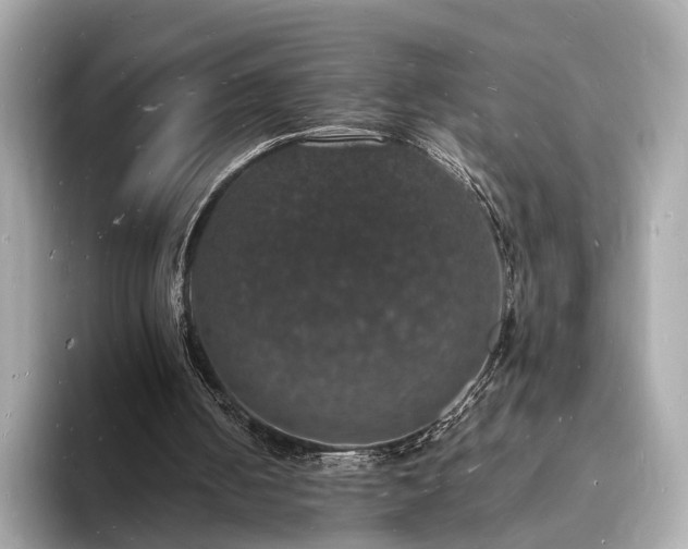 X0000094060050200710261234