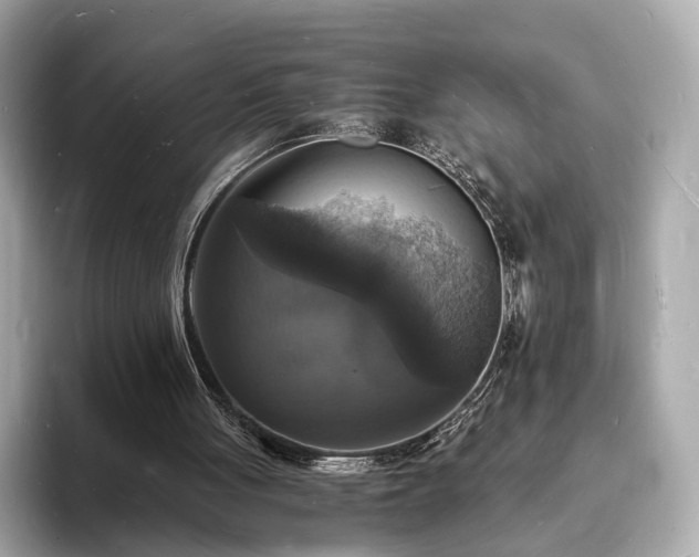 X0000094060051200710261234