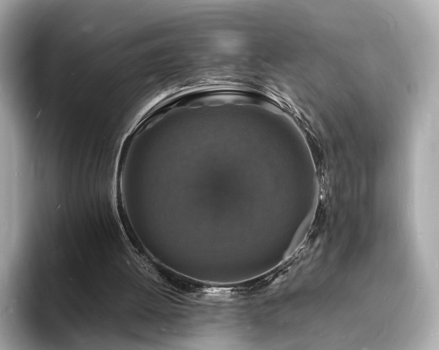 X0000094060052200710261234
