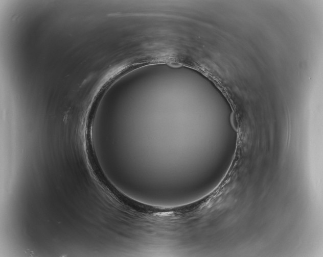 X0000094060054200710261234