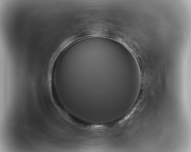 X0000094060055200710261234