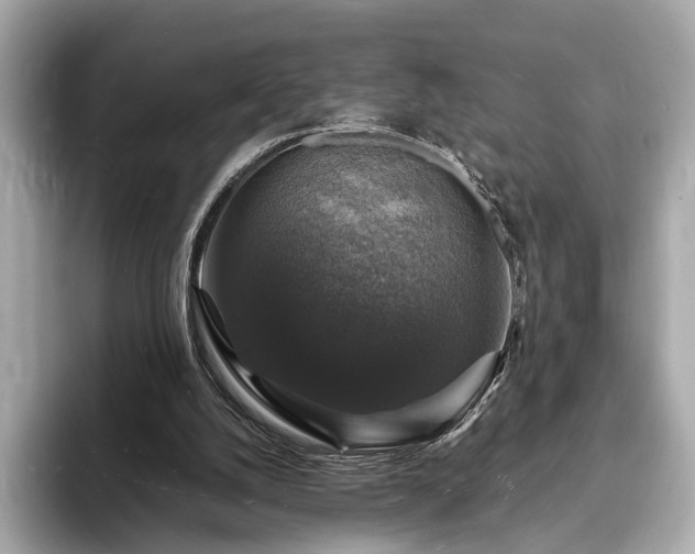 X0000094060056200710261234
