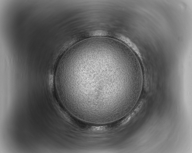X0000094060057200710261234