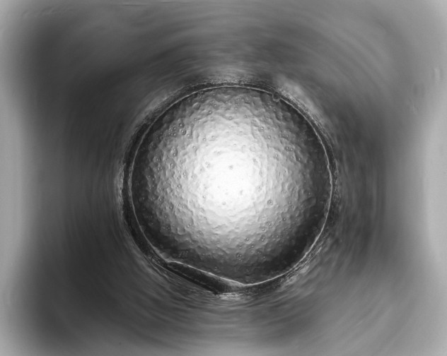 X0000094060058200710261234