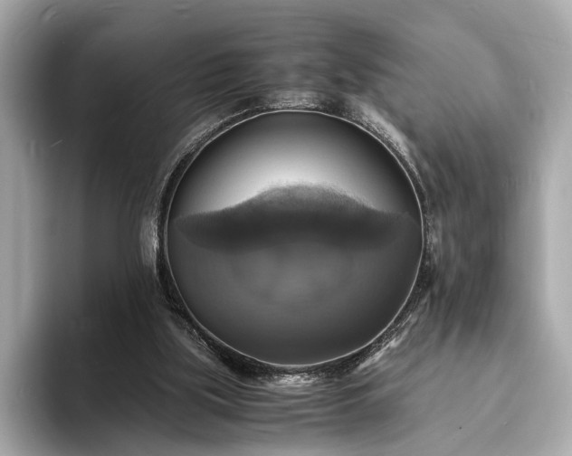 X0000094060059200710261234