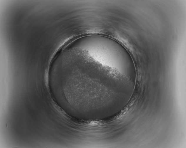 X0000094060060200710261234